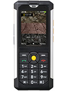 Best available price of Cat B100 in Opal