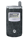 Best available price of Motorola T725 in Opal