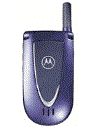 Best available price of Motorola V66i in Opal